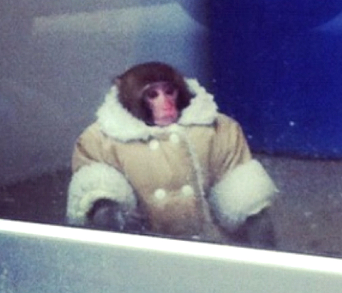 Roupa de Frio para o Noivo ir na Lua de Mel