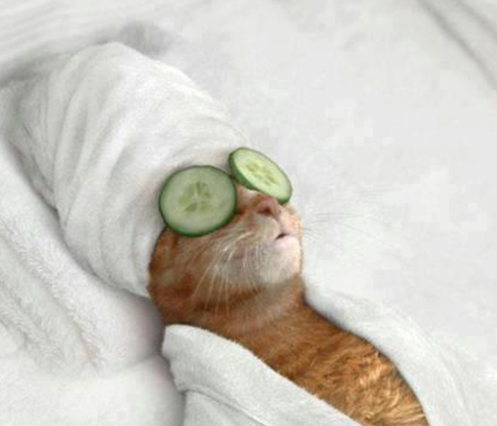 Um Dia de Spa para a Noiva (Pós-casamento)