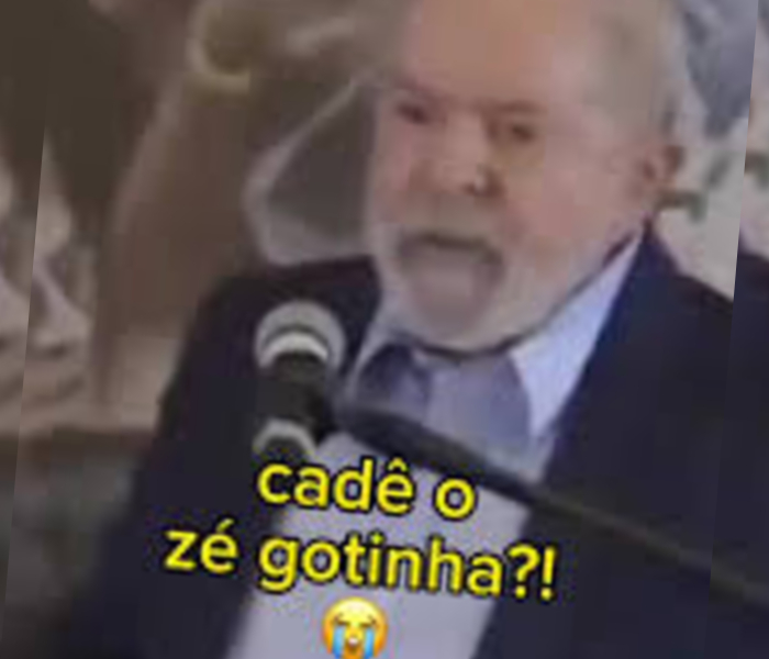 Vacinas para os Muitos Gatos do Casal